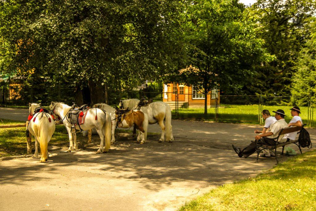 park-zdrojowy-rabka-zdroj-2